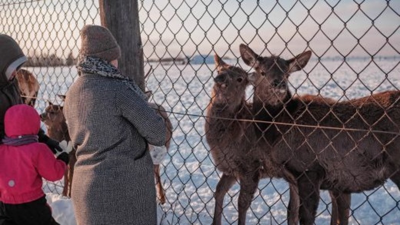 Около 300 тыс. туристов посетят Свердловскую область этой зимой